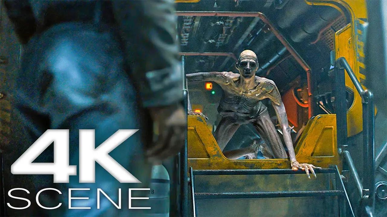First Human Xenomorph Hybrid Scene 2024 Alien Romulus 4k Uhd Hdr