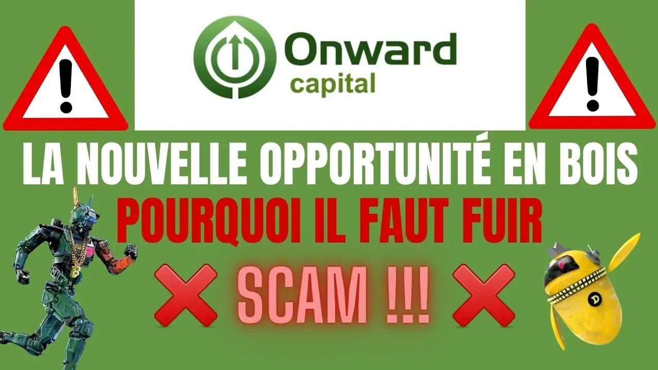 Onward Capital L Opportunit ë En Bois ôüá åôüá å Scam ôüá åôüá å