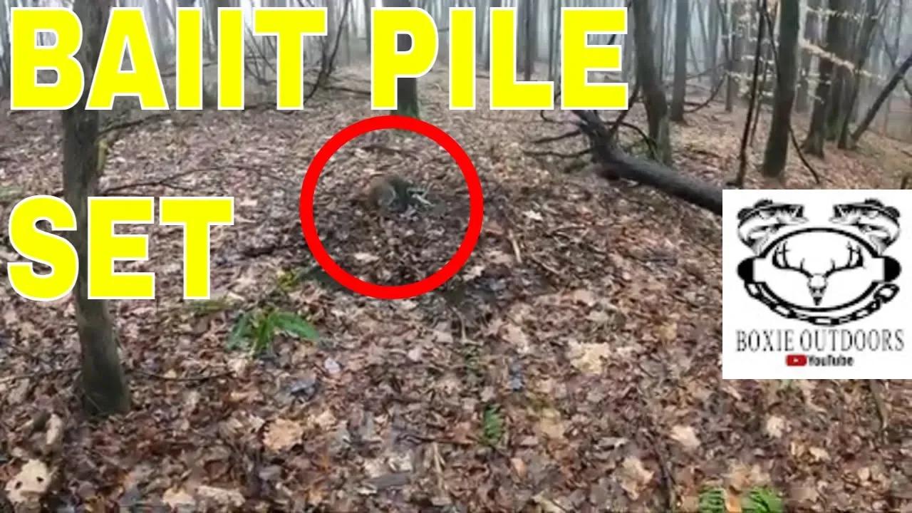 Late Season Trapping Ups And Downs Duketraps Coyote