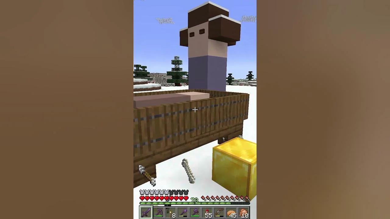 Minecraft Manger Scene in Survival World Tour