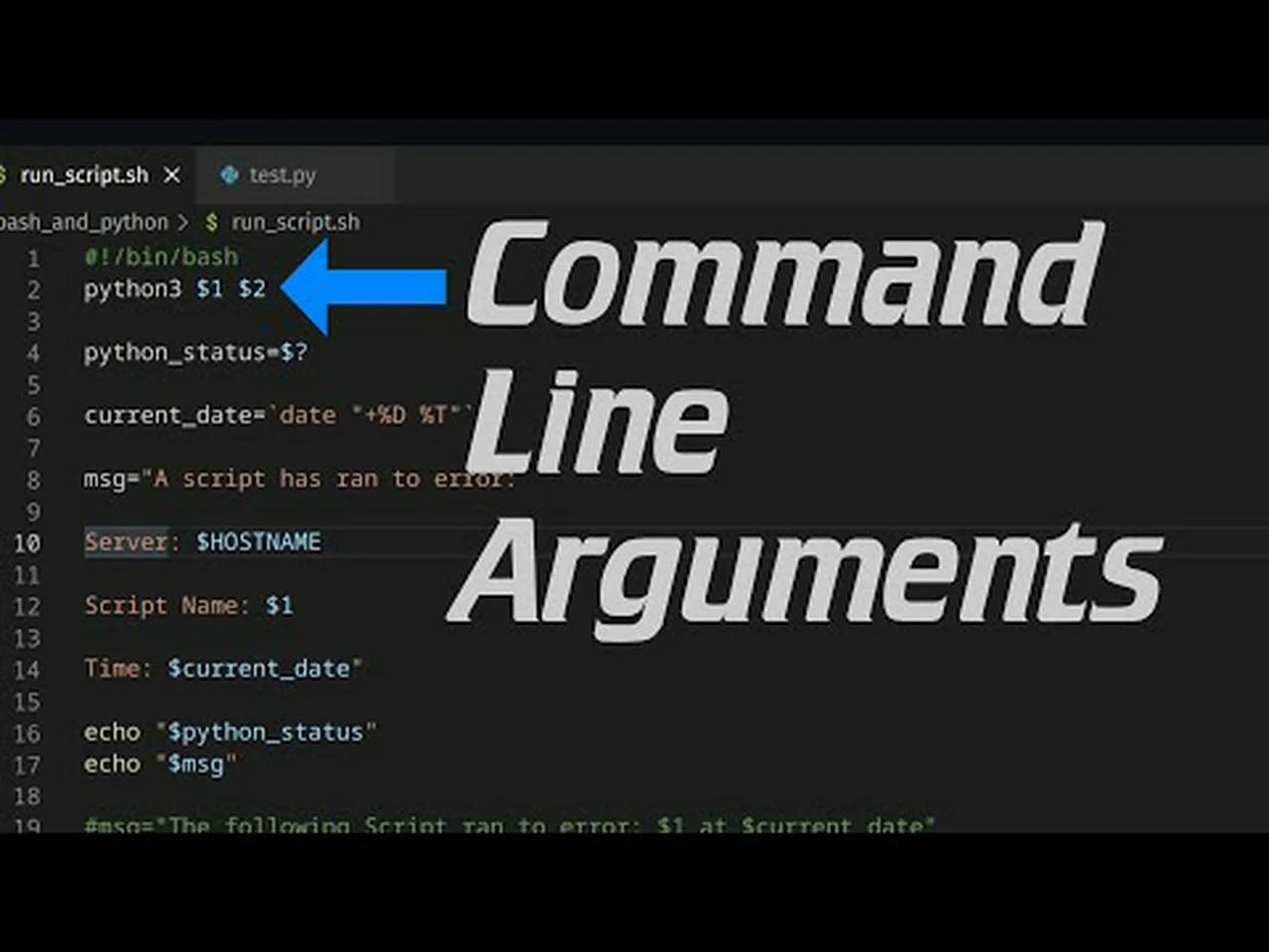 Run Python files via bash script