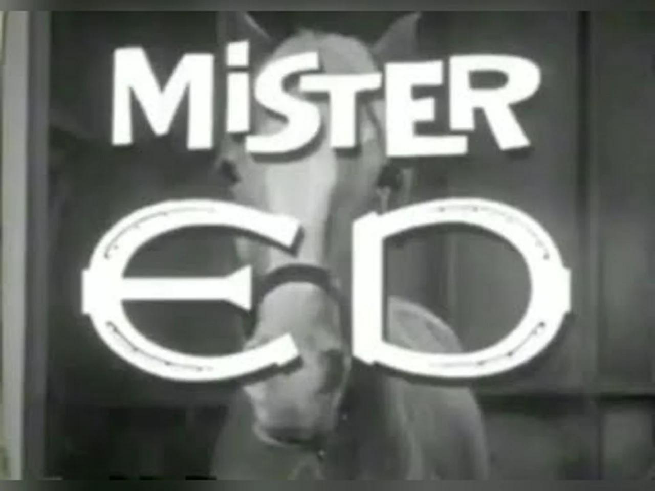 Mister Ed Intro