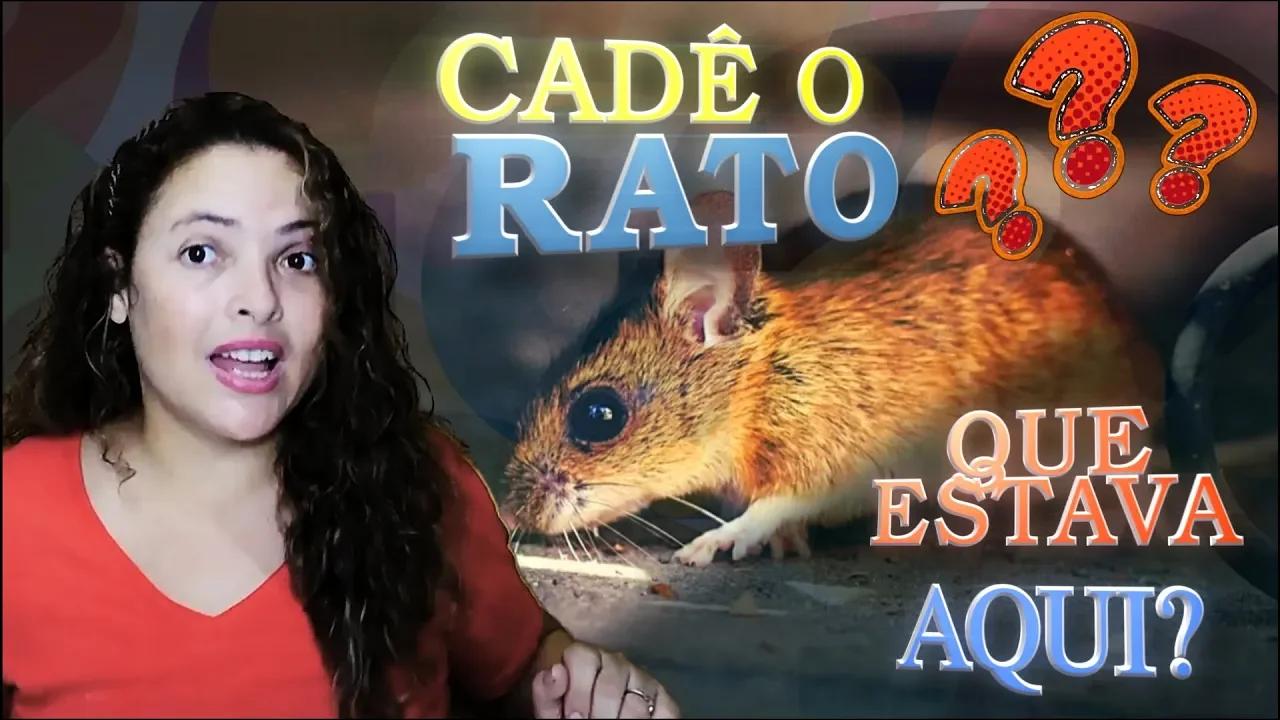 Cadê o Rato que estava aqui? Sumiu outra vez