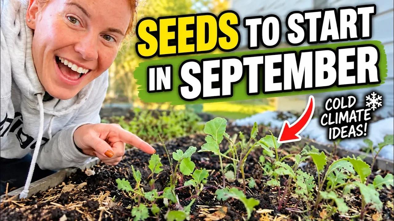September Gardening: You Have More Options Than You Think