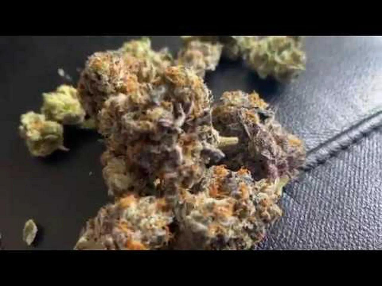 NEW RUNTZ STRAIN • PEACH CREAM SODA 🍑🍧🔥 • Budview (Peach Kobbler x ...