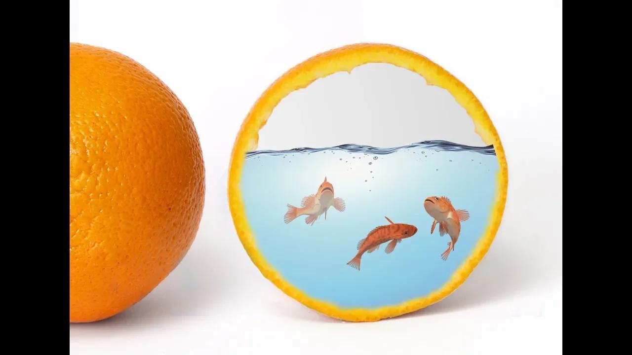 how to add fish in orange in photoshop || Simple Photoshop Tutorial