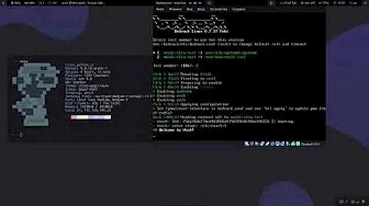 Bedrock Linux | Arch Linux | Void Linux