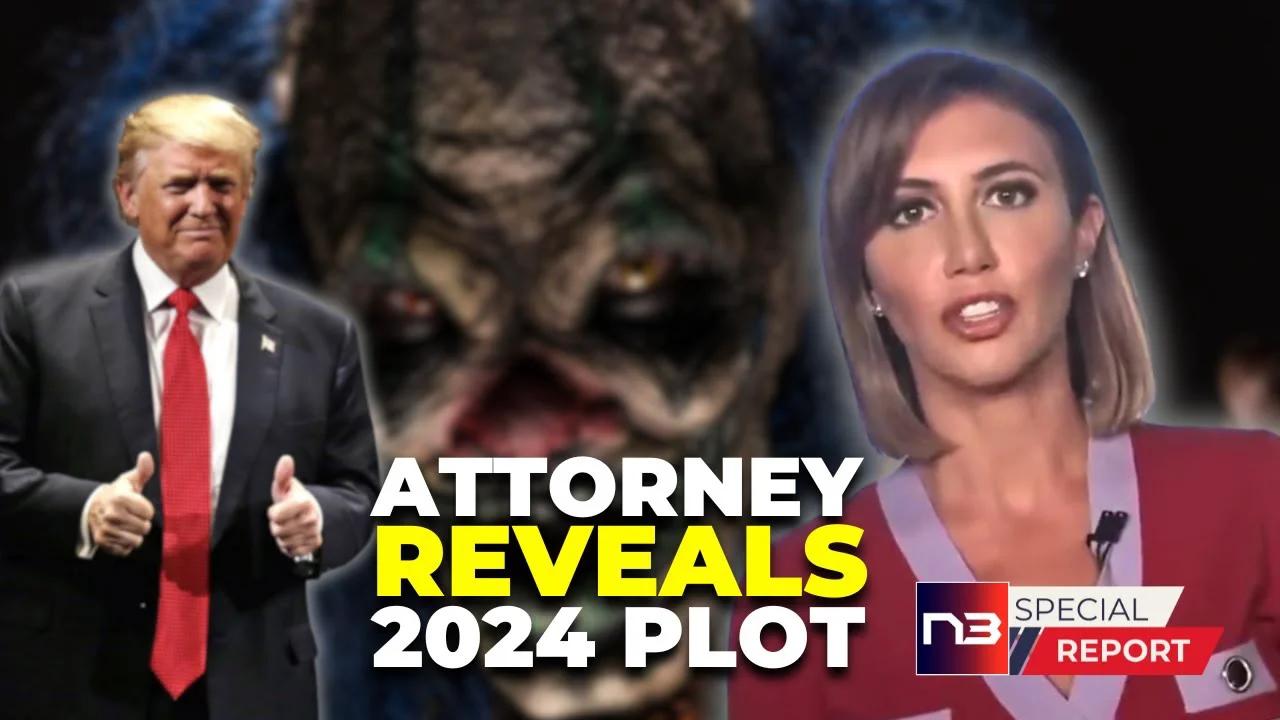 Andrew Hanoun Review 2024 The Verdict Is In - q1rkahd