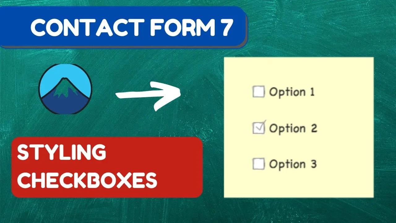 How To style contact Form 7 Checkbox In Wordpress 2023