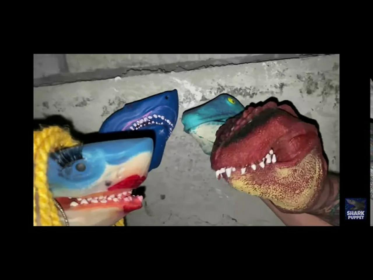Shark Puppet Gets His Chain Snatched The Reaction