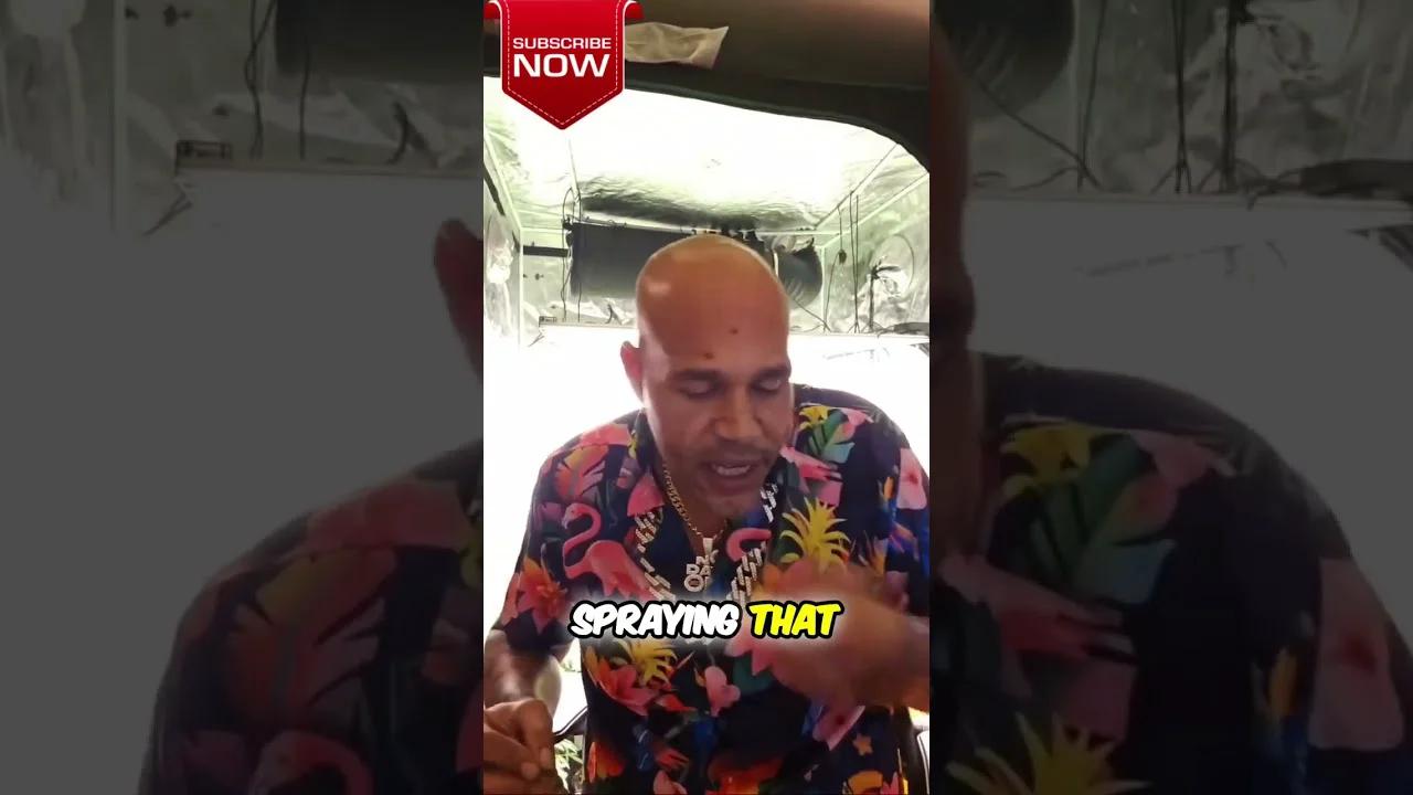 Unboxing The World S Rarest Strains Exclusive European Collection