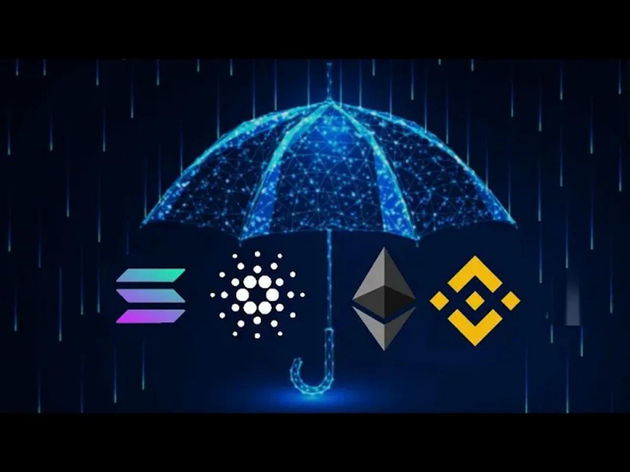 umbrella crypto price