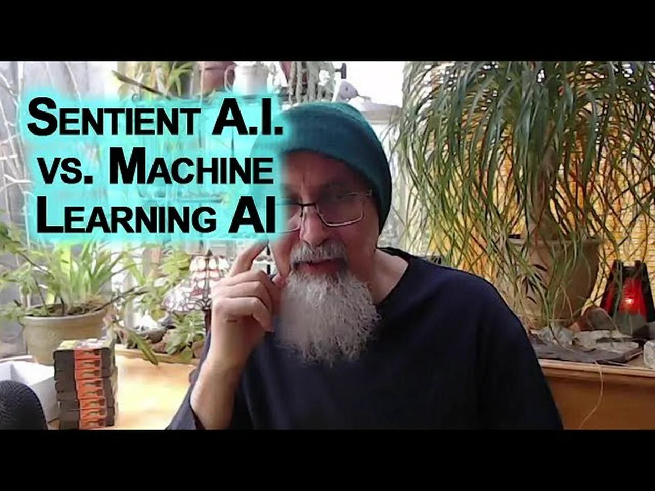 Sentient vs. Machine Learning AI: Novelty, Humanity, Elon Musk's ...