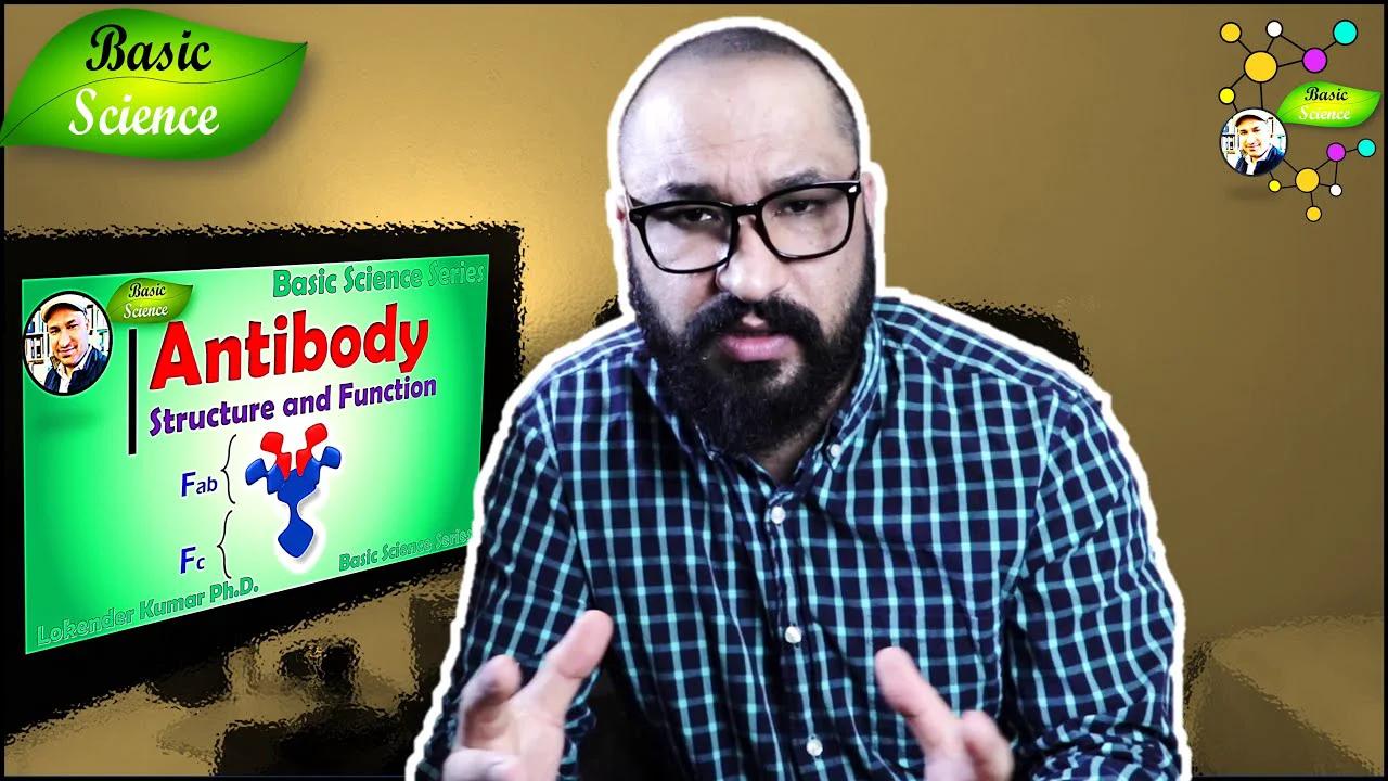 Types Functions And Applications Of Antibodies In Hindi Basic