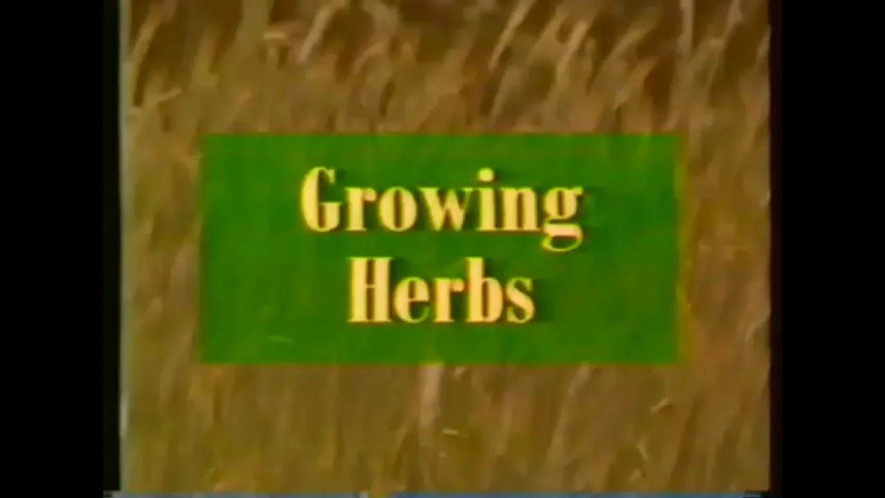 Gardening Naturally S01E19 Growing Herbs