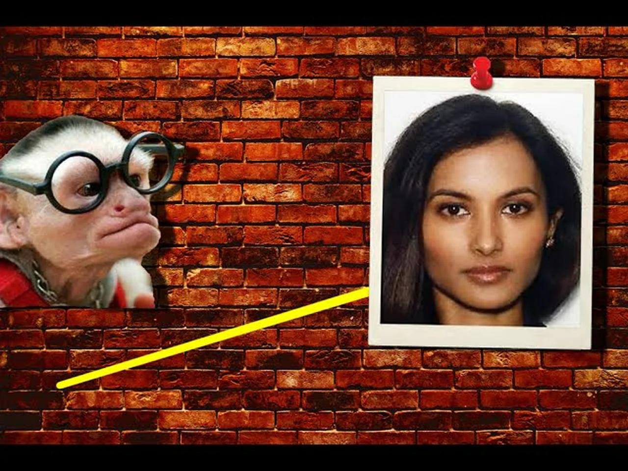 ROHINIE BISESAR - ANOTHER BRICK IN THE WALL - WEAPONIZED RF AND MOTIVELESS CRIME