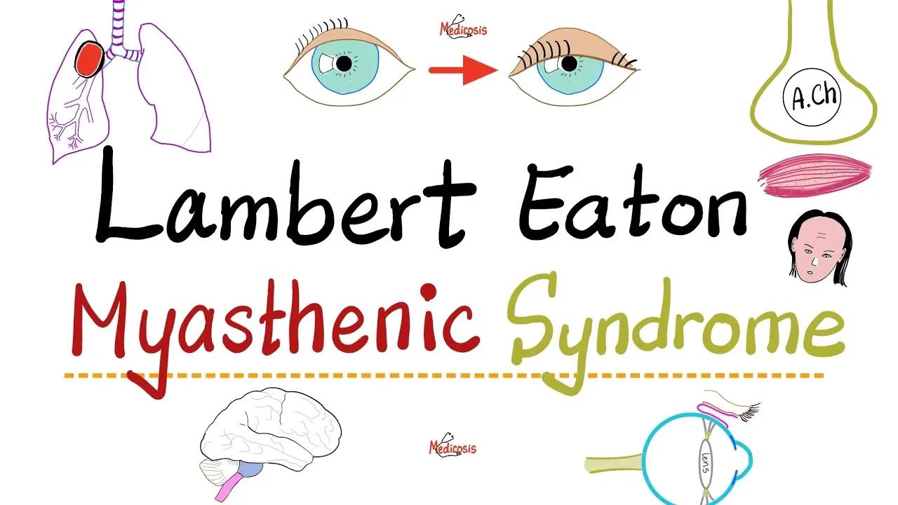 Lambert Eaton Myasthenic Syndrome (LEMS) - Muscle weakness - Causes ...