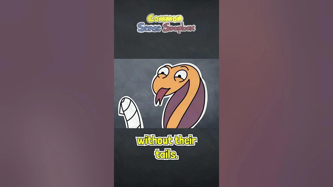 When Good Intentions Go Wrong