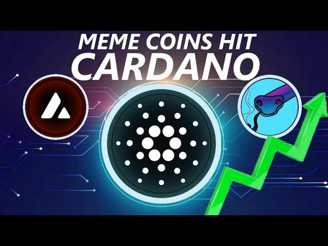 CARDANO 200% MEME | $120,000,000 Avalanche, Polygon LOSS | GEMINI: DCG ...