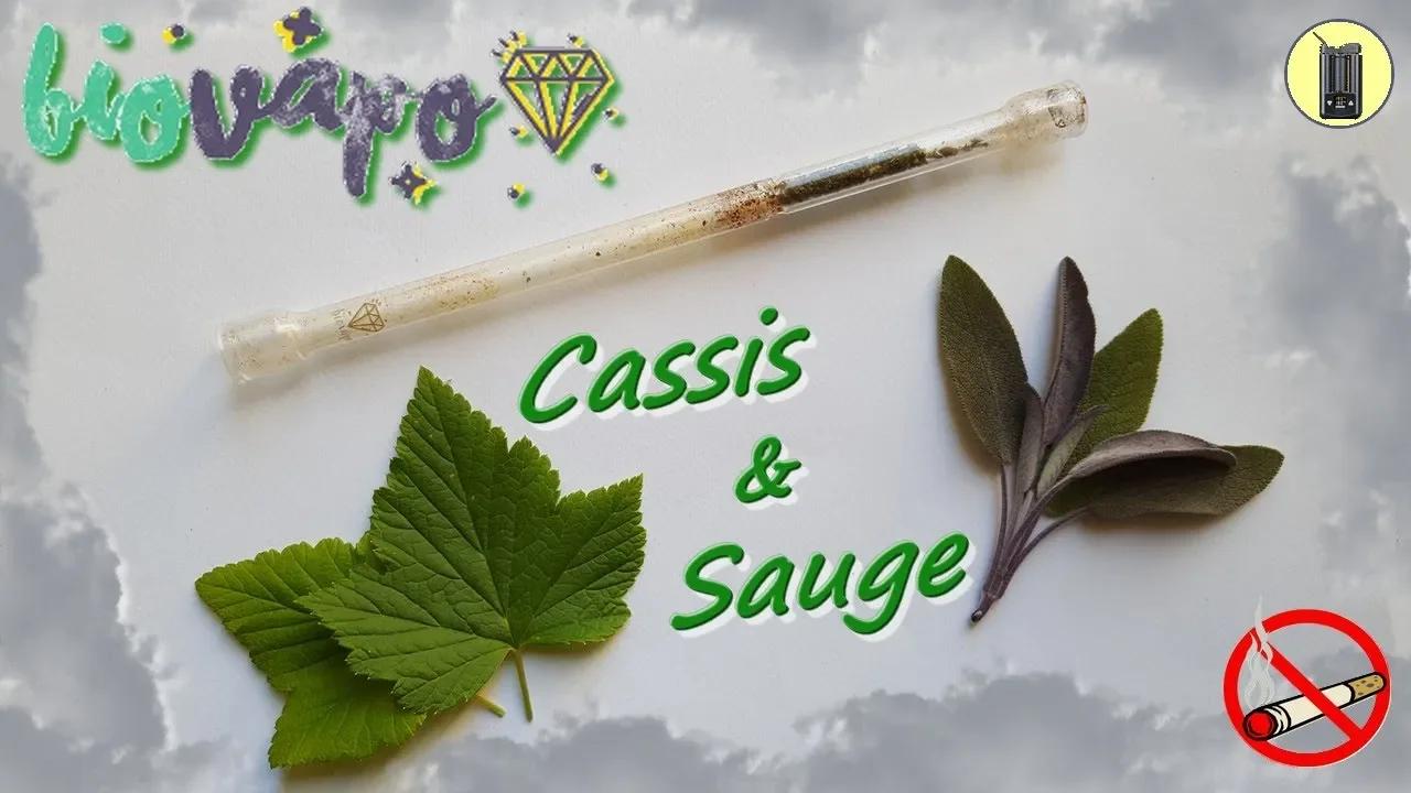 BIOVAPO, Sauge & Cassis ( +Test vapeur ), Vaporisateur De Plantes ...