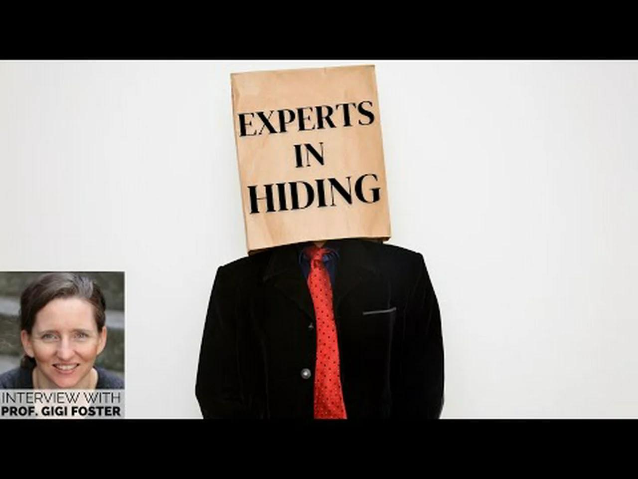 Experts In Hiding