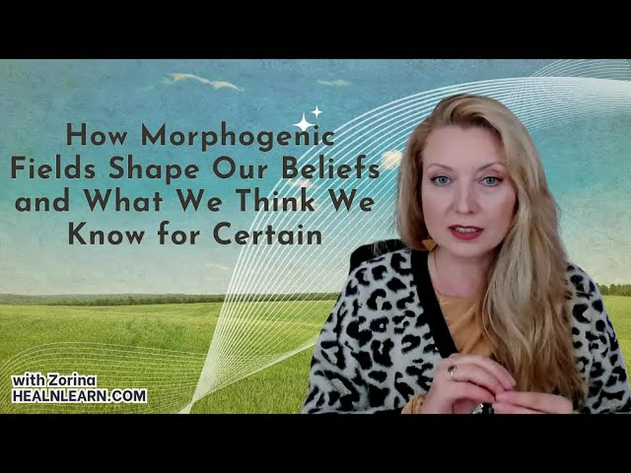 the-morphogenic-fields-of-your-beliefs-and-of-the-consciousness-methods