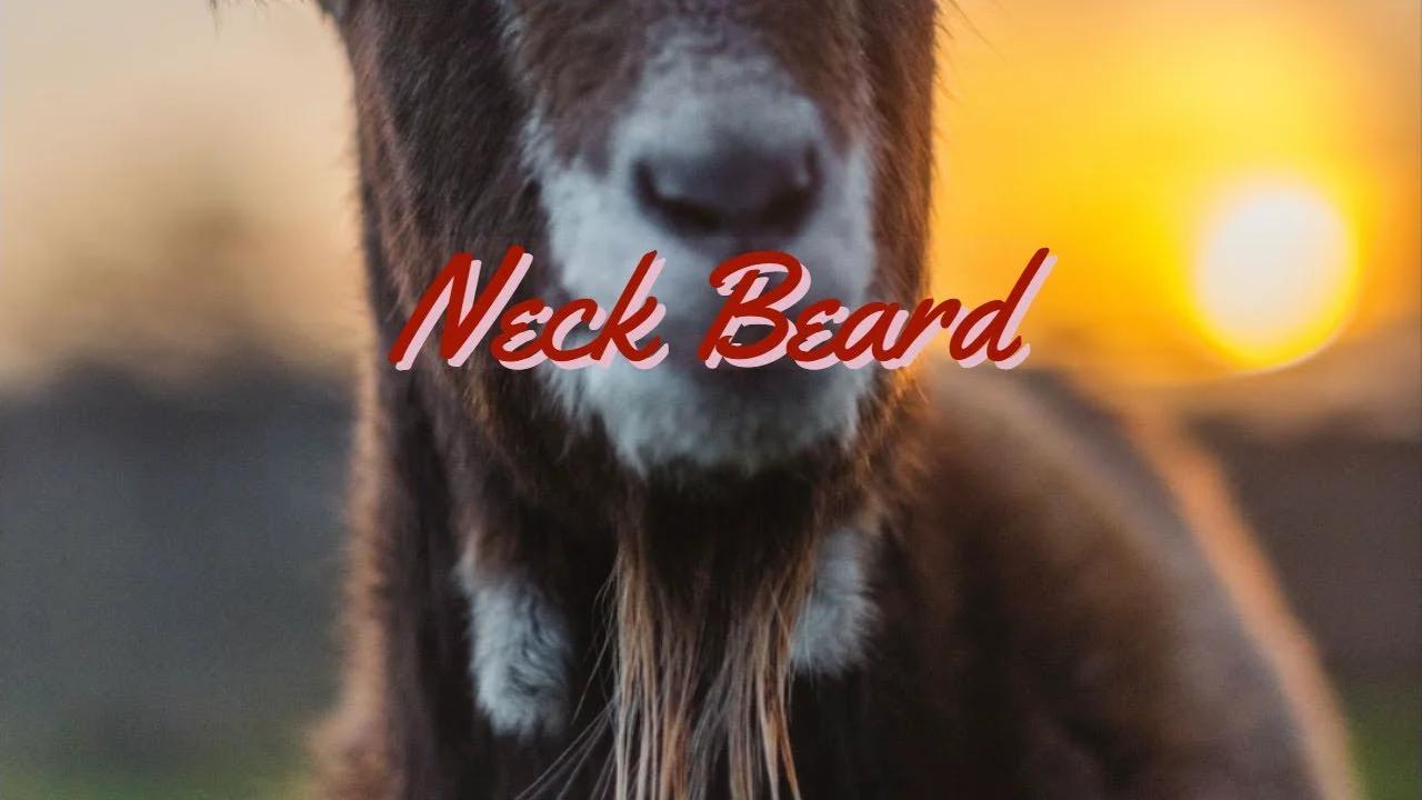Simple Definition of Neck Beard: What It Is and How It Forms