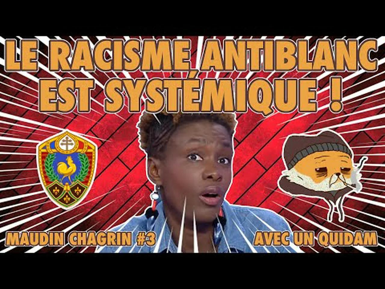 ils-vous-disent-toute-la-v-rit-sur-le-racisme-syst-mique-les