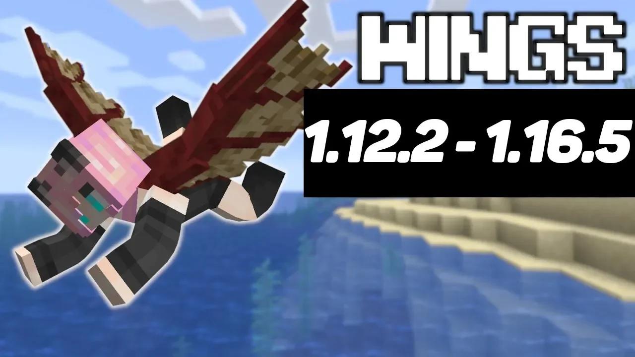 Wings mod tutorial / guide 1.12.2 - 1.16.5 Wings for flight (minecraft ...