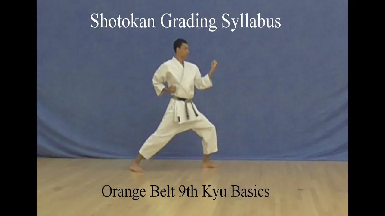 Orange Belt 9th Kyu Shotokan Karate Syllabus Basics