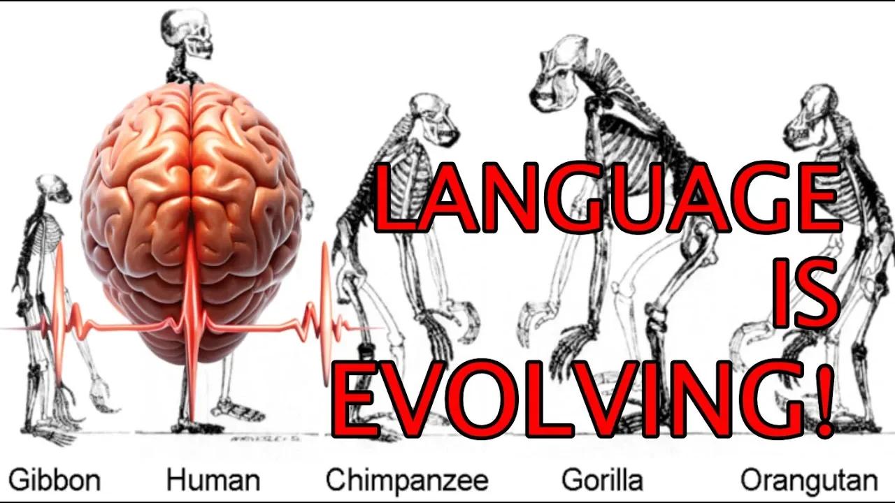 Language Is A Superpower Mini Documentary