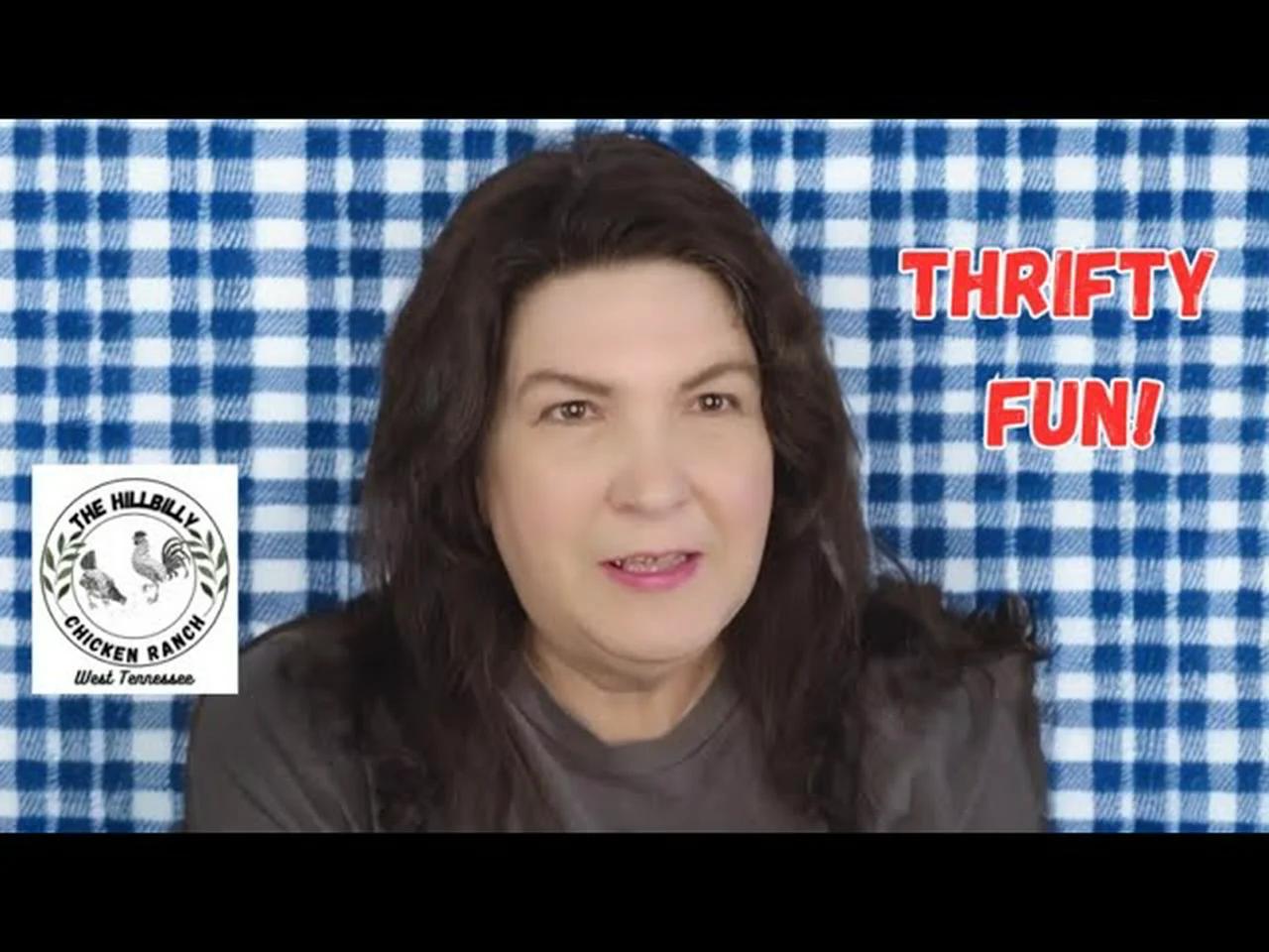 our-bargain-finds-plus-amish-mennonite-country-hauls-thriftyfun