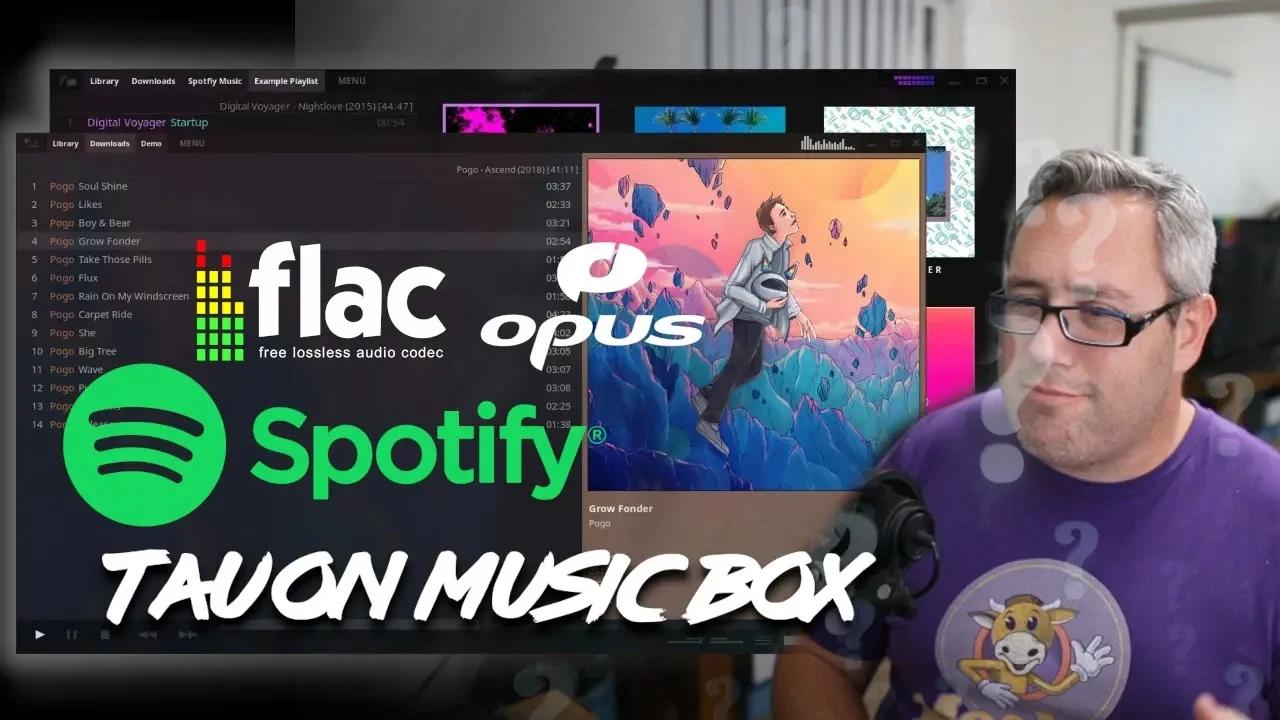 tauon-music-box-spotify-front-end-and-music-player-for-linux