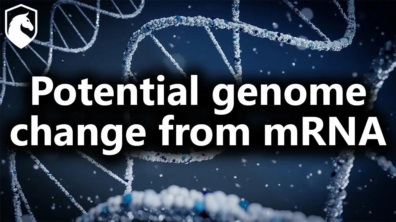 Swedish paper on reverse transcription of mRNA in vitro in human liver ...