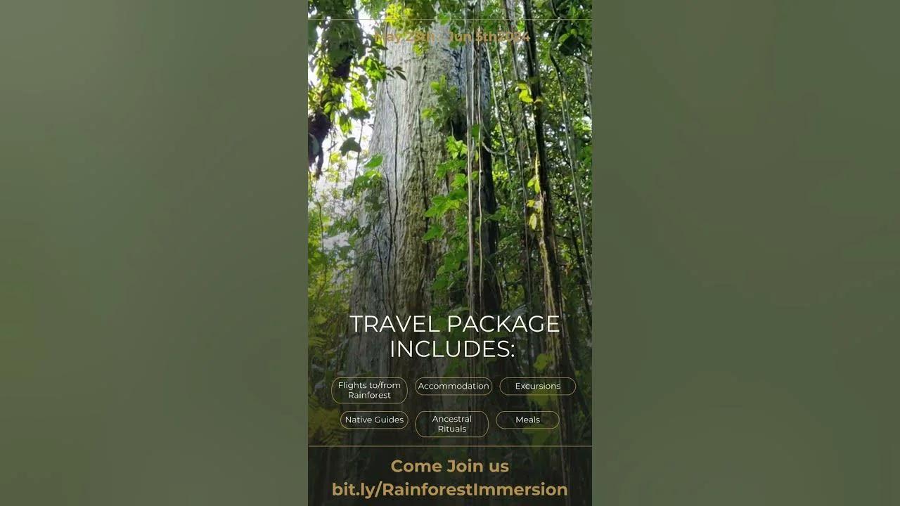 Amazon Rainforest Immersive Adventure