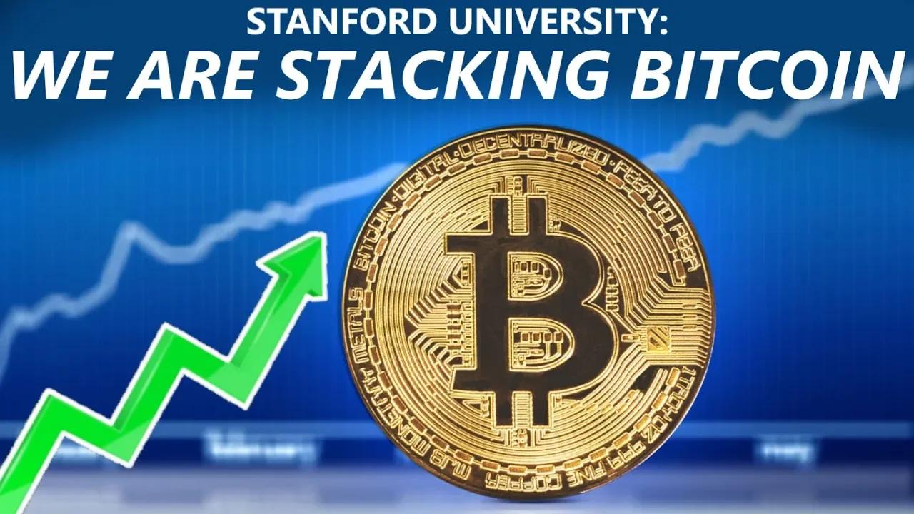 Comparative Funding Landscape: Bitcoin Scholars Fund vs. Traditional STEM Grants