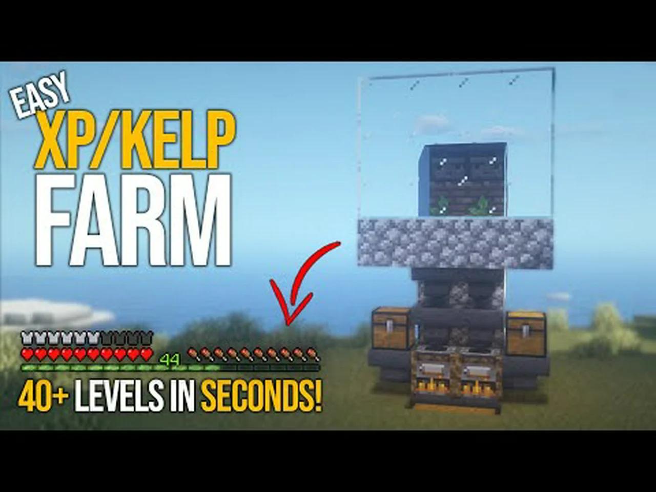 Minecraft | EASY XP/Dried Kelp Farm | Level 0-30 in Seconds!