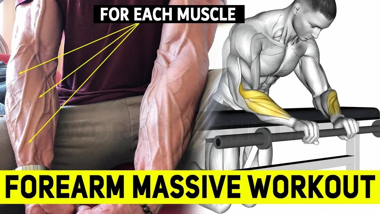 How To Build A Massive Forearm ‖ 8 Best Exercises