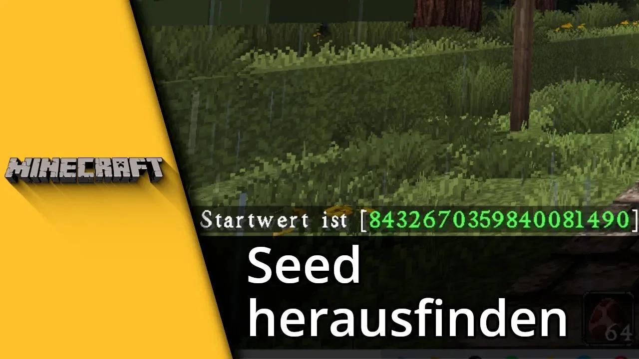 Minecraft Seed herausfinden (Java- & Bedrock-Edition) Tutorial