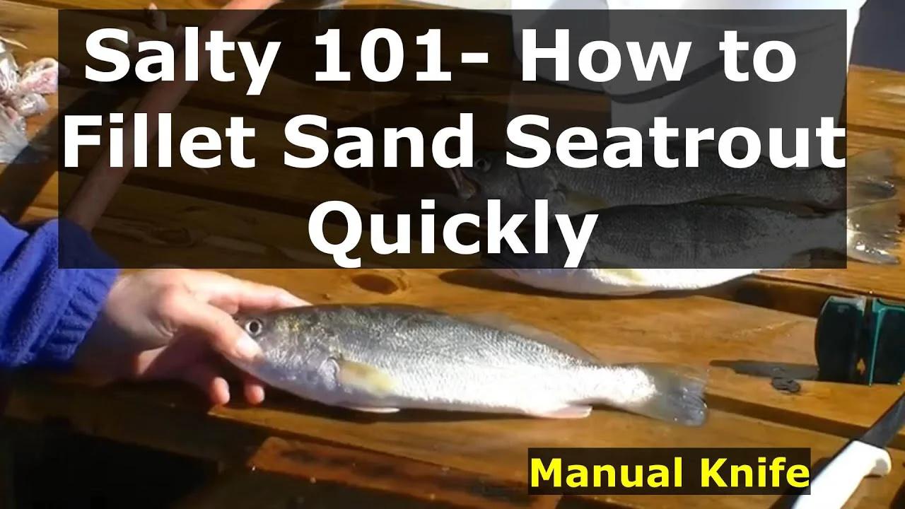 Salty 101- How to Fillet Sand Seatrout Quickly Manual Knife