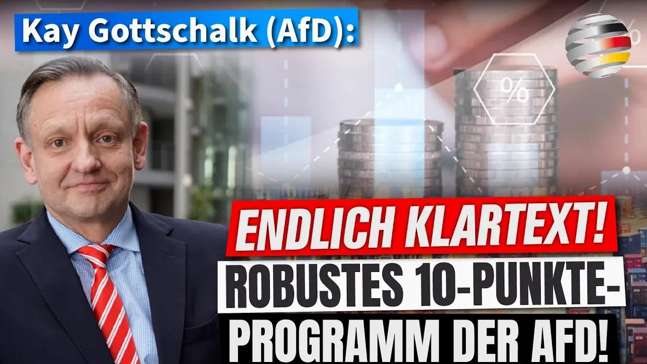 Endlich Klartext! Robustes 10-Punkte-Programm Der AfD! | Ein Kommentar ...