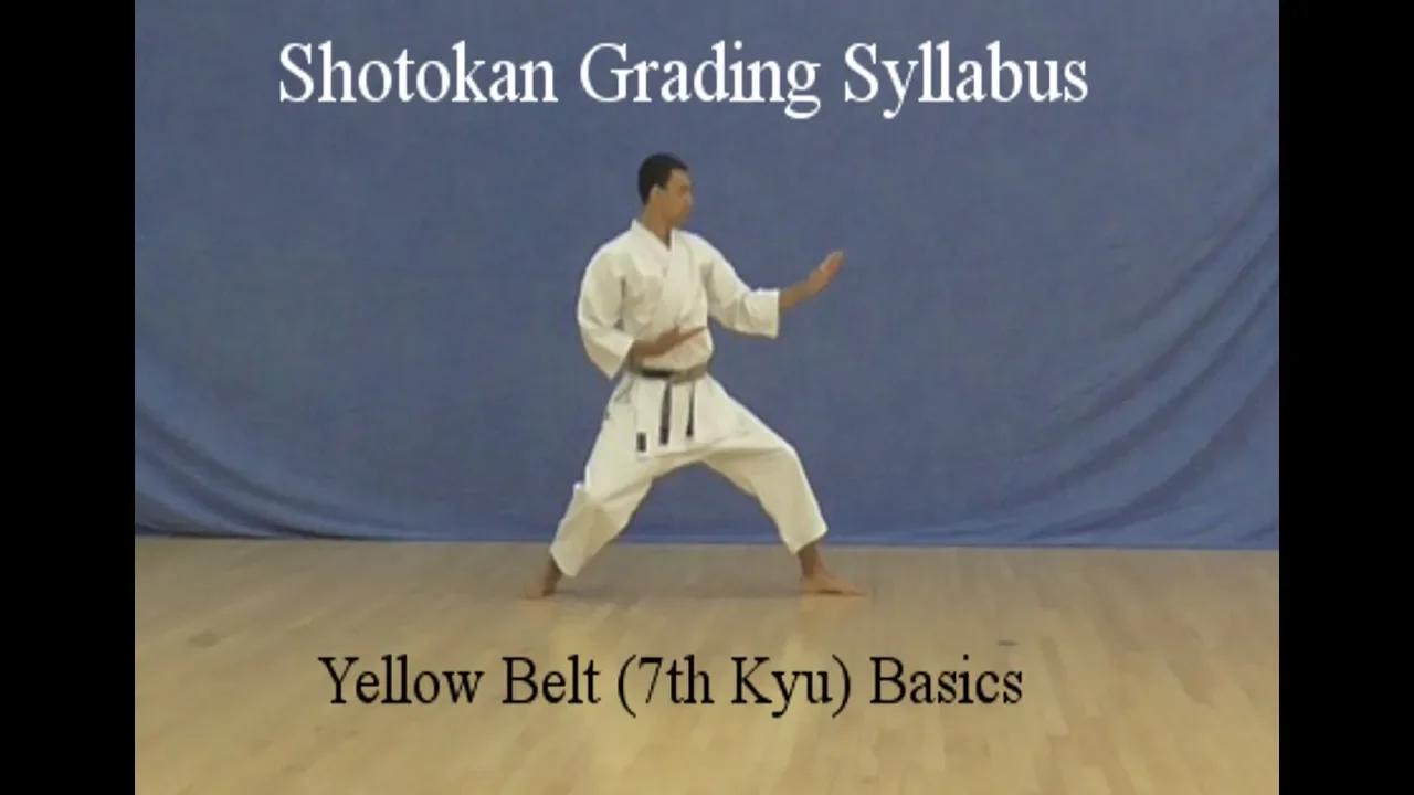 Yellow Belt 7th kyu Shotokan Karate Syllabus Basics