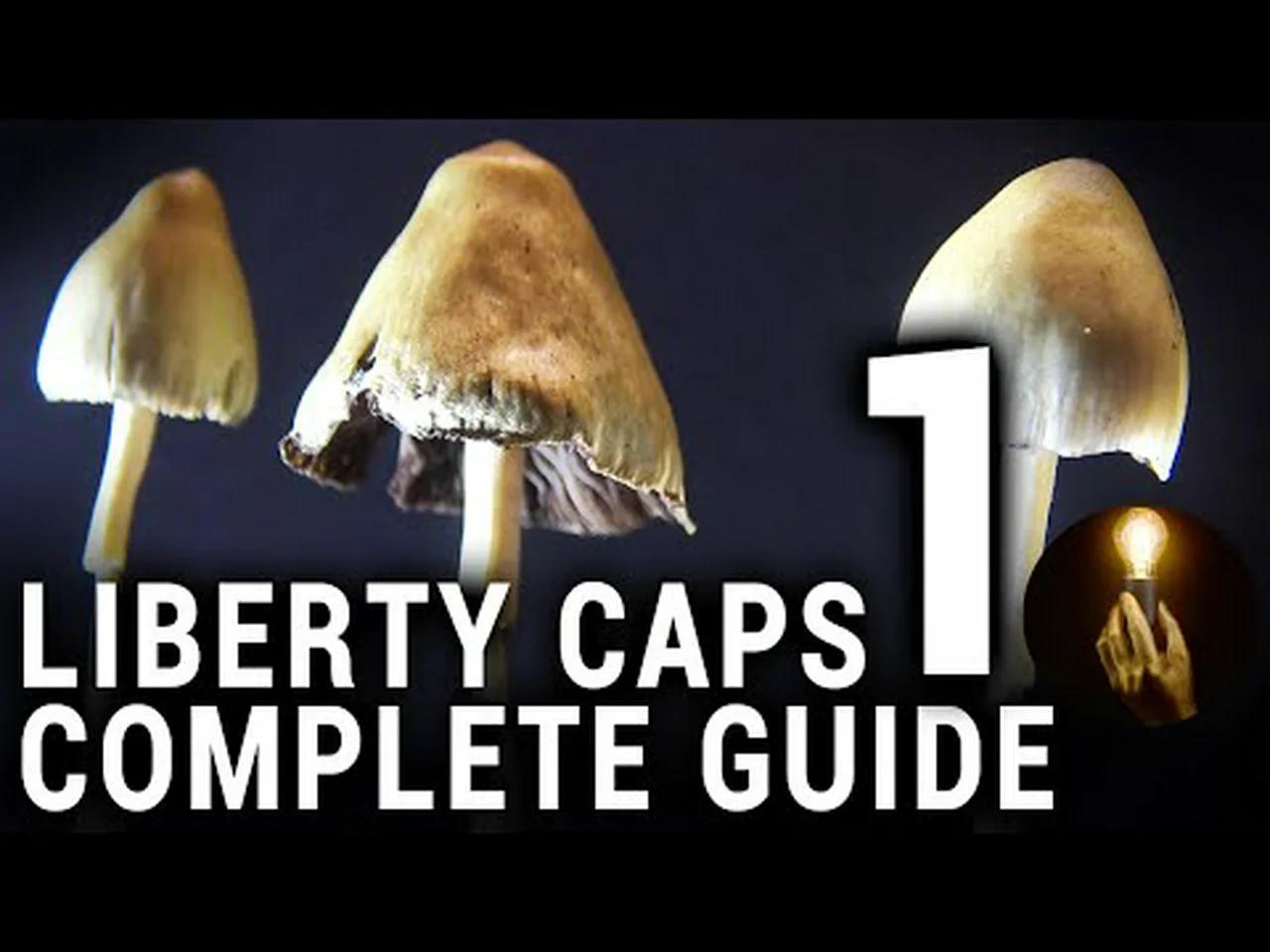 LIBERTY CAPS COMPLETE GUIDE PART 1/3