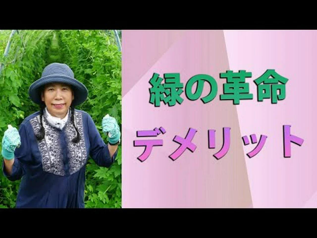 セメントに別れを告げる：緑の革命は土木建設にも及ぶ