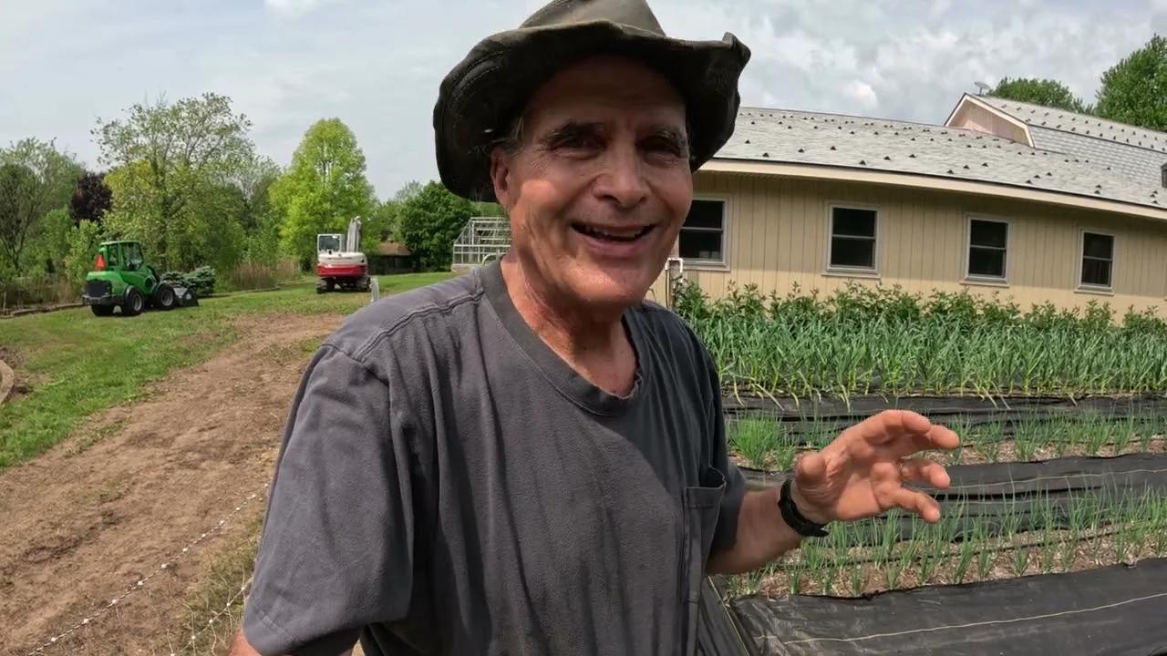 Weed Mats Benefits and Challenges