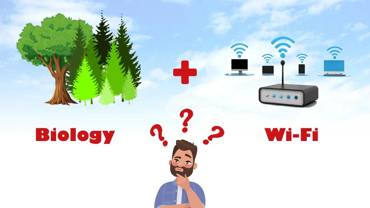 Does WiFi Affect Biology? Science Experiment TFN Network