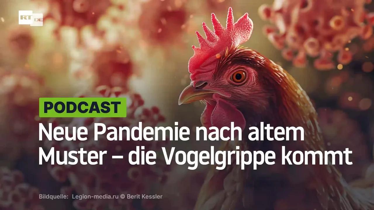 ⁣Neue Pandemie nach altem Muster – die Vogelgrippe kommt