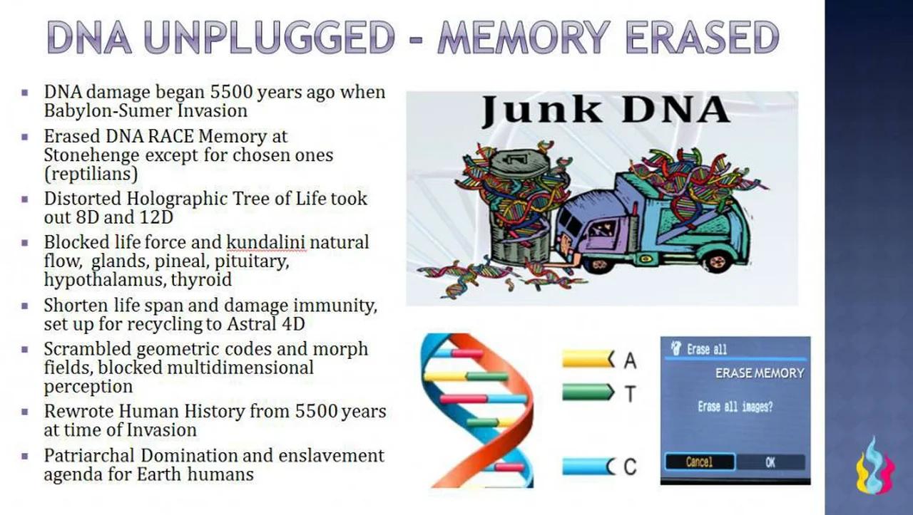 DNA UNPLUGGED