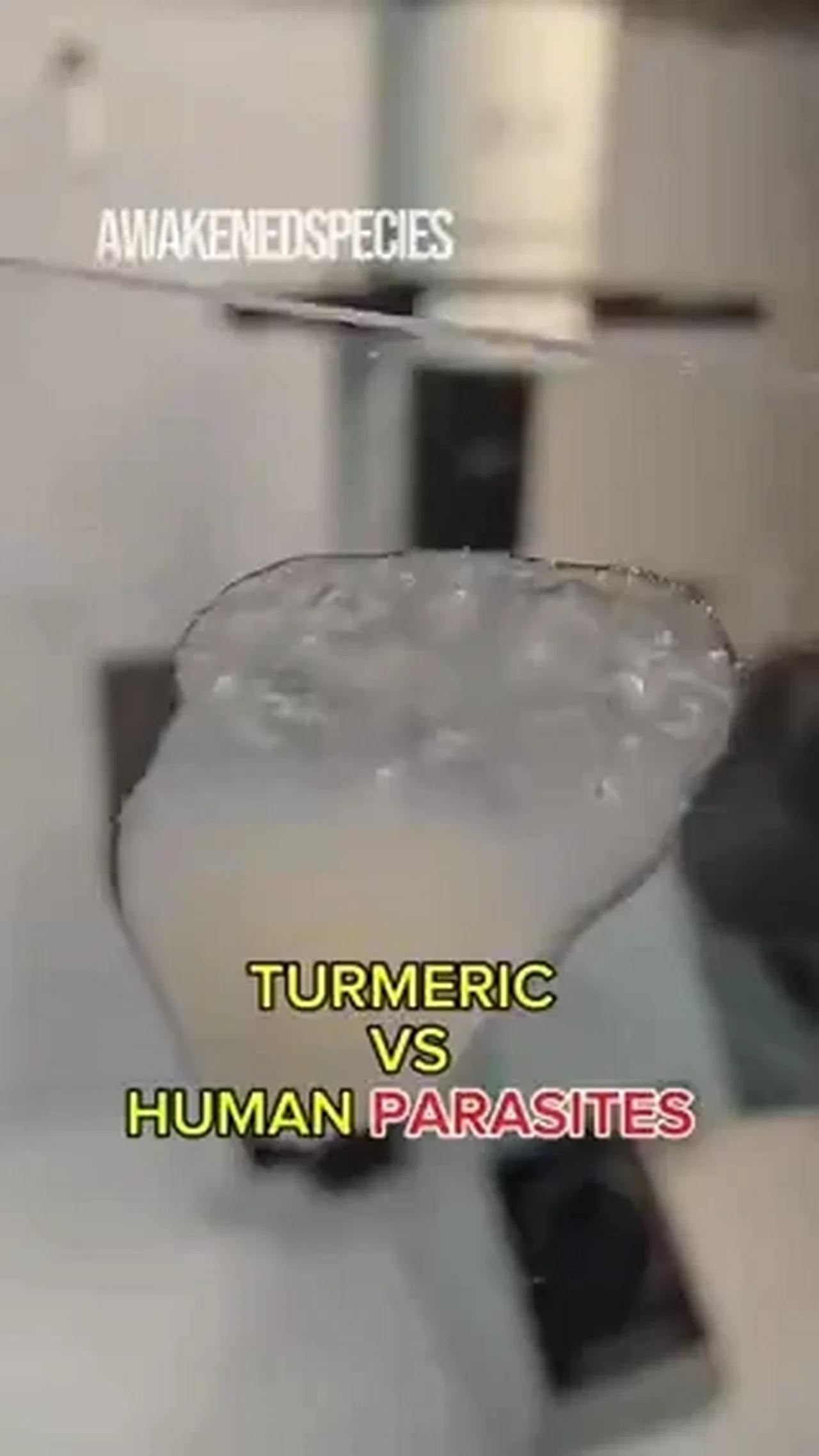 TURMERIC VS HUMAN PARASITES UNDER THE MICROSCOPE