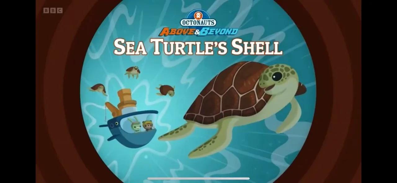 The Sea Turtle's Shell